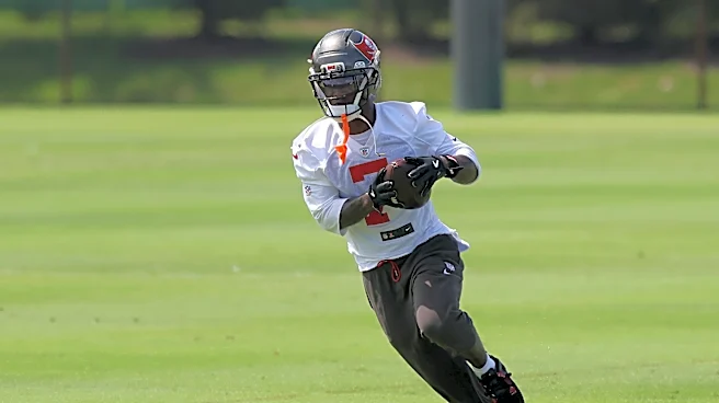 Buccaneers Off-Season Position Review: Running Back