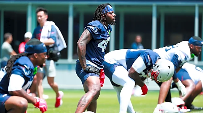 Patriots 2026 scouting report for ED Quintayvious Hutchins