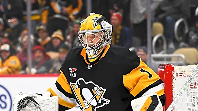 Penguins Summer 2026 Organizational Depth outlook