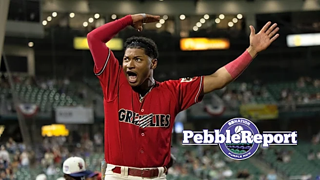 Weekly Pebble Report: The player and person Roldy Brito wants you to see