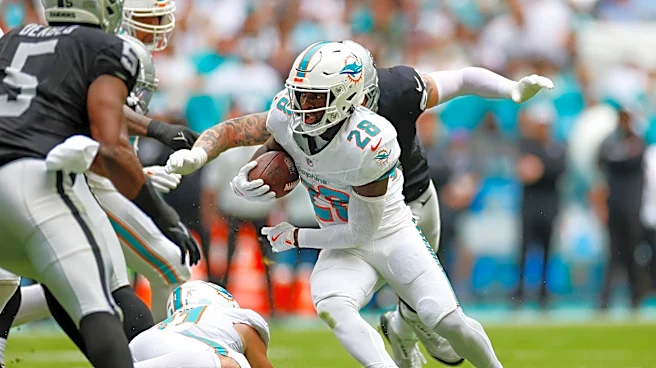 2026 Dolphins Games You Are Most Looking Forward To