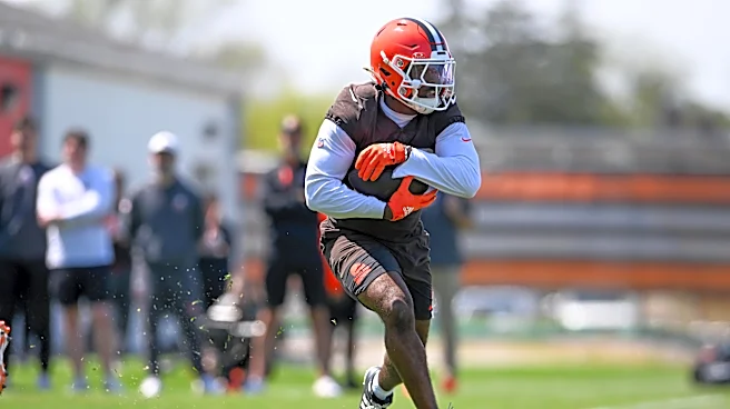 Daily Dawg Chow (7/8): Let’s talk running backs