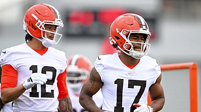 Browns roster: WR depth chart and expectations