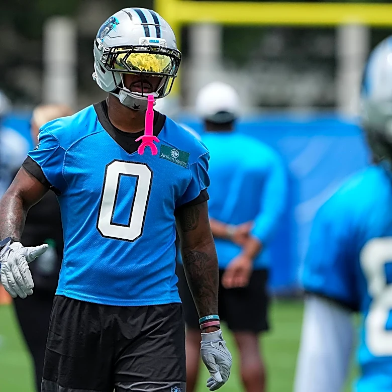 Panthers Reacts Survey: Who has you hyped for training camp?