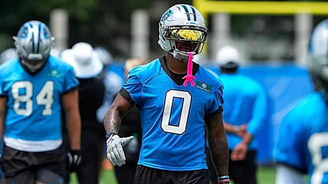 Panthers Reacts Survey: Who has you hyped for training camp?