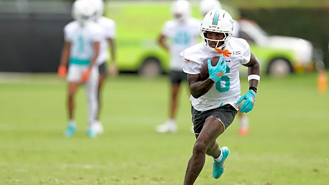 Miami Dolphins Discussion: Top Wide Receiver Edition