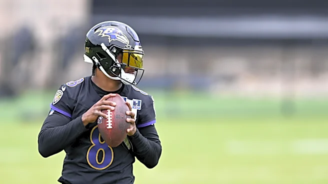 We asked, you answered: fans predict Ravens reach double-digit wins