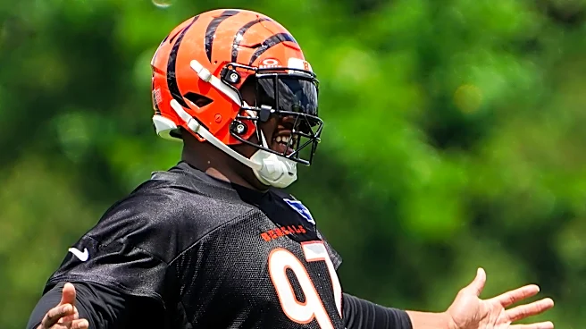 ESPN’s latest ranking reinforces why the Bengals went all-in for Dexter Lawrence