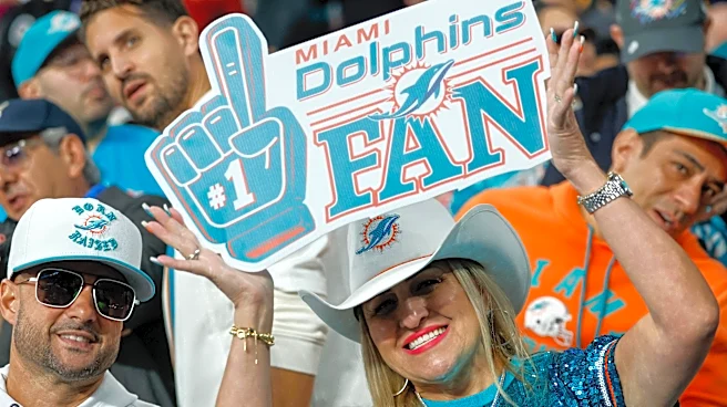 Miami Dolphins Discussion: Talking Heads Vs. Die Hard Fans Edition