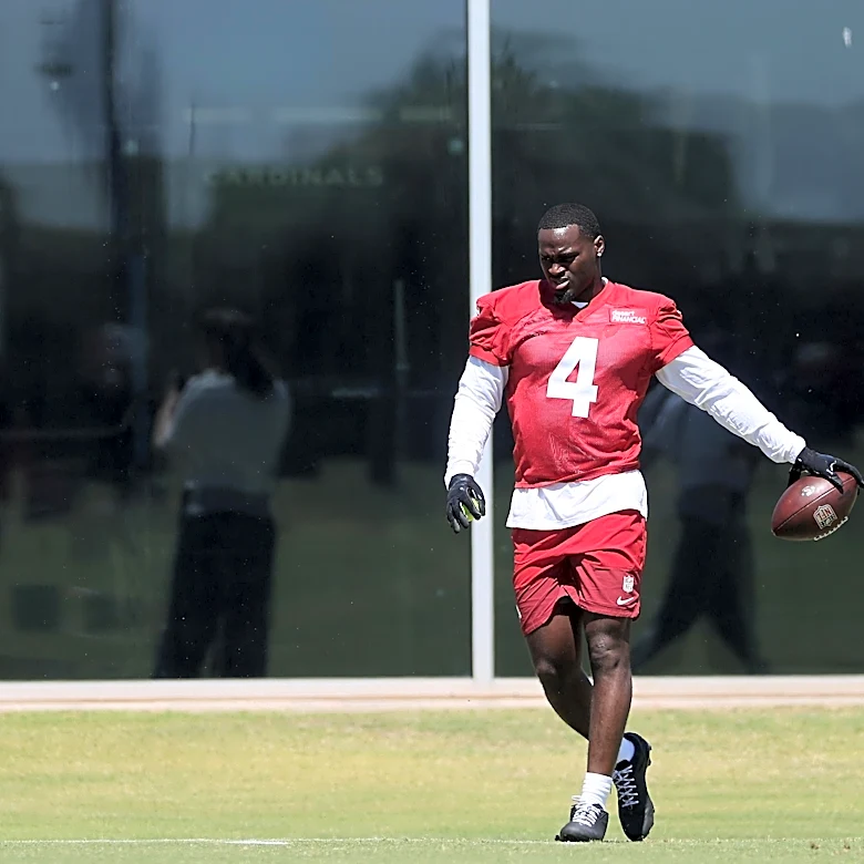 Who leads the Arizona Cardinals in rushing touchdowns in 2026?