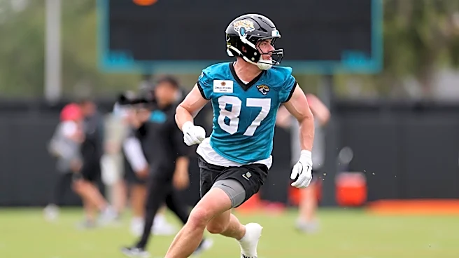 Jacksonville Jagurs: 2026 Rookie Impact Meter