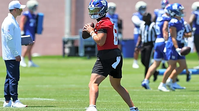 How can Matt Nagy, Brian Callahan, and Greg Roman coexist?