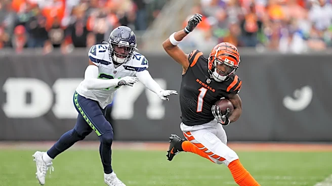 Bengals News: The Ultimate Chess Piece