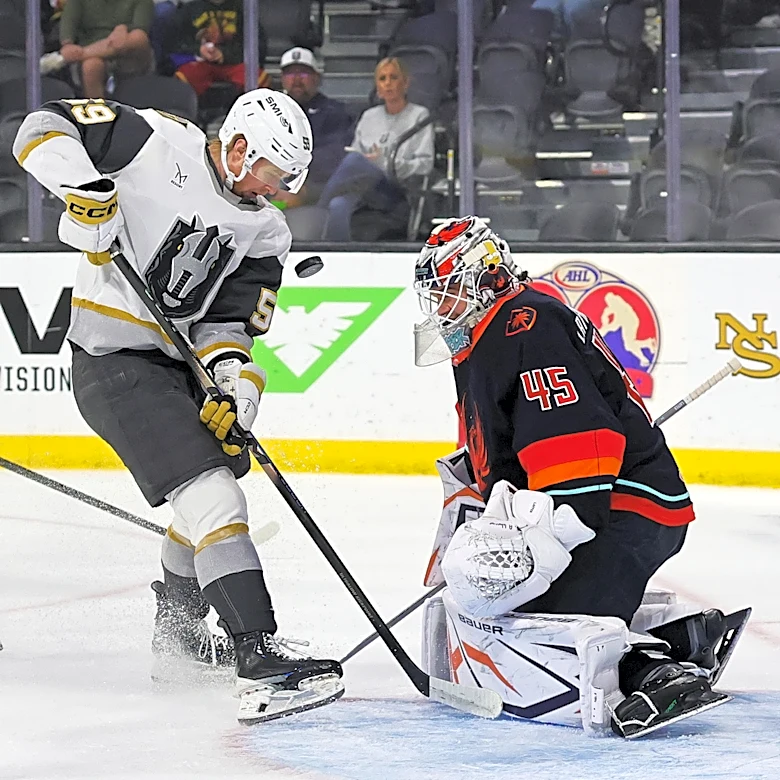 Where Michigan Hockey alums are playing professionally outside the NHL