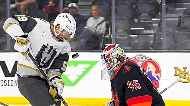 Where Michigan Hockey alums are playing professionally outside the NHL