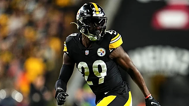 Former Steelers cornerback announces retirement