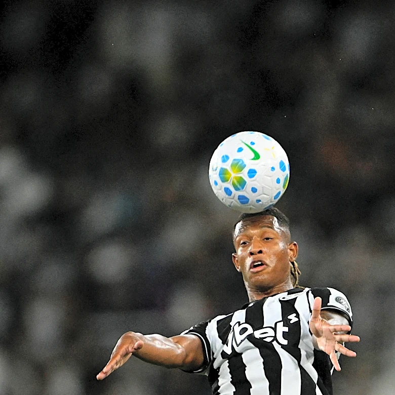 Botafogo Midfielder Linked to Newcastle as Bruno Replacement