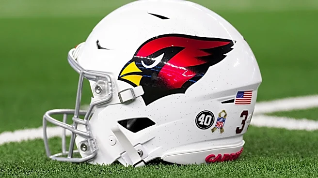 Arizona Cardinals Director of College Scouting to appeal suspension