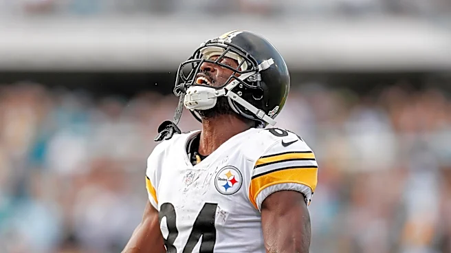 Top 30 greatest Pittsburgh Steelers of all time: No. 20-11