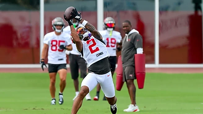 Buccaneers Off-Season Position Review: Wide Receivers & Tight Ends