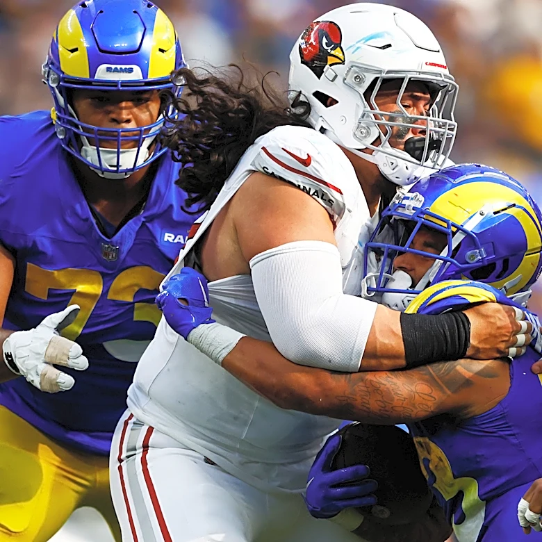 Cardinals roster: Training Camp DT Outlook
