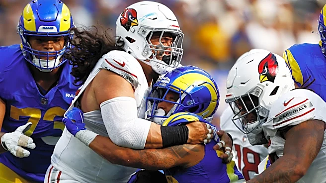 Cardinals roster: Training Camp DT Outlook