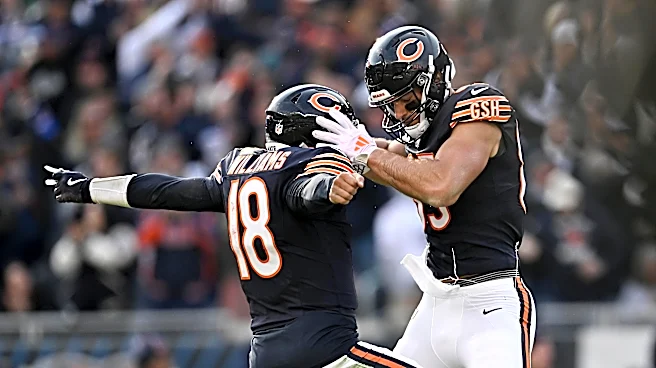 Which Chicago Bears position group are you most confident in?
