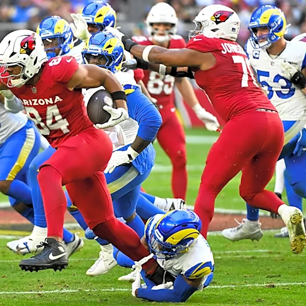 Cardinals roster: Training Camp TE Outlook