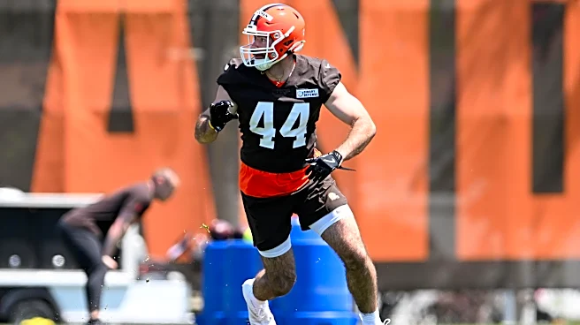 What signing Mitch Van Vooren and Riley Wilson means for the Patriots