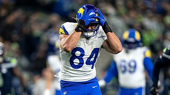 Rams going all-in on tight ends