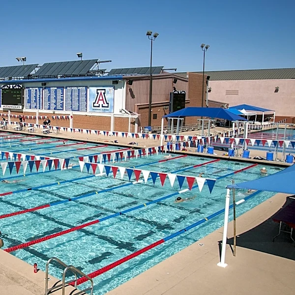 Wildcat Wrap: Arizona swimming and diving adds DeNise as assistant coach