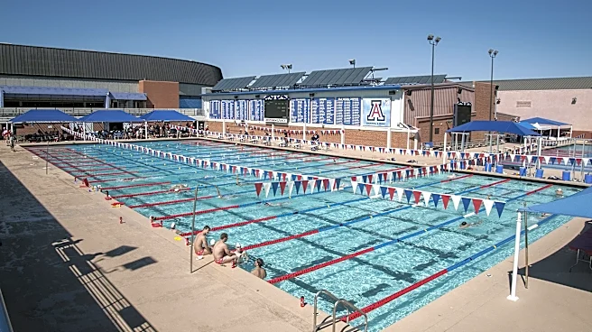 Wildcat Wrap: Arizona swimming and diving adds DeNise as assistant coach
