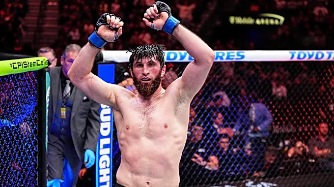 UFC Abu Dhabi predictions