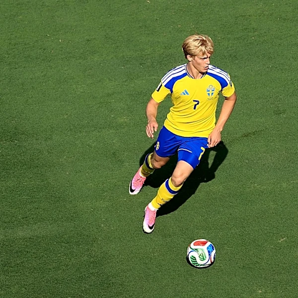 Newcastle Handed Lucas Bergvall Boost After Tottenham Manager’s Admission
