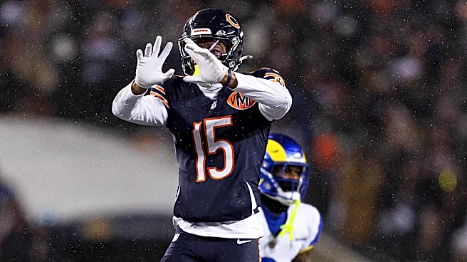WCG Dynasty Fantasy Football: Assessing Redacted’s Roster