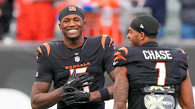 Tee Higgins nearly earns the top spot in best WR2 rankings