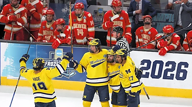 Did Michigan Hockey do enough this offseason to win a National Championship?