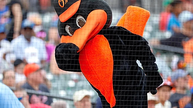 Orioles minor league recap 7/30: Caden Hunter dominates in Double-A debut