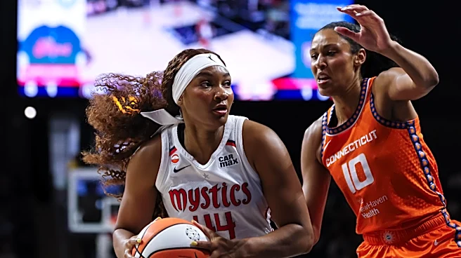 3 things to watch as the Wings hit the road against the Washington Mystics