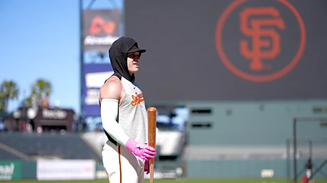Harrison Bader suspended without pay