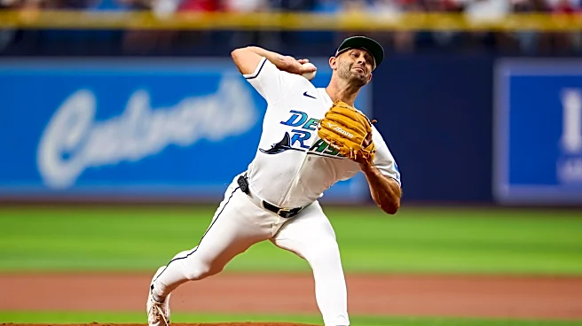 Any trades yet? White Sox 6, Rays 1