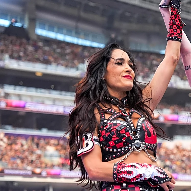 WWE confirms Brie Bella’s injured, and it ‘seems pretty bad’