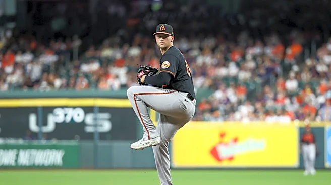 Rays trade for Orioles reliever RHP Tyler Wells
