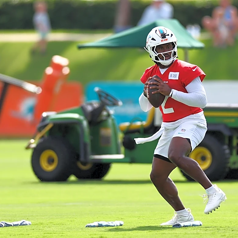 Miami Dolphins Discussion: Who Will Carry The Team Edition
