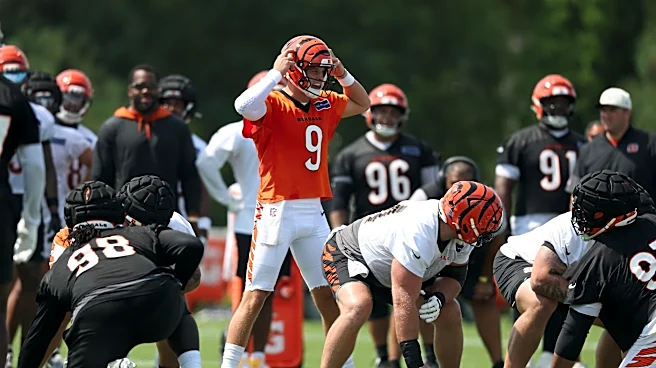 Bengals training camp Day 6 News and discussion