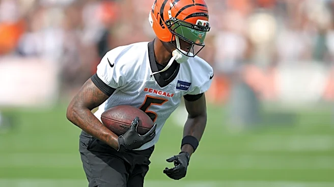 Tee Higgins and Dexter Lawrence snubbed from NFL Top 100 Players ranking