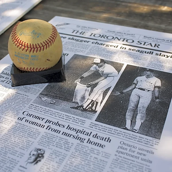 Today in Blue Jays history: Dave Winfield kills a seagull