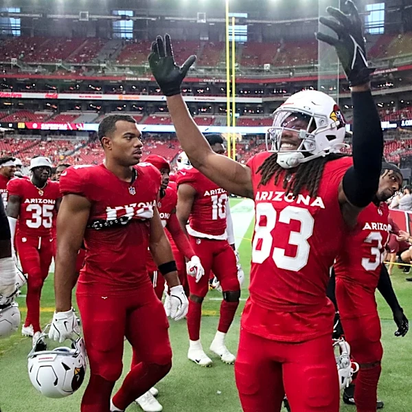 Patriots claim former Cardinals wideout Tejhaun Palmer, waive rookie tight end