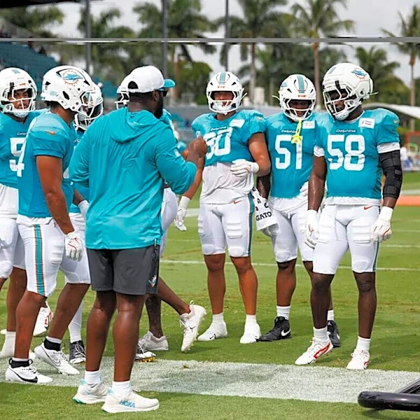 Dolphins Fans On Which Unit Will Be More Dominant In 2026