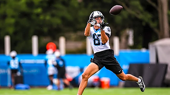 Carolina Panthers roster by jersey number, last name